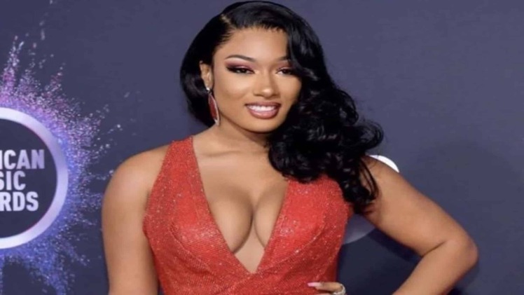 Megan Thee Stallion Bio, Age, Net Worth, Height Weight and Much More